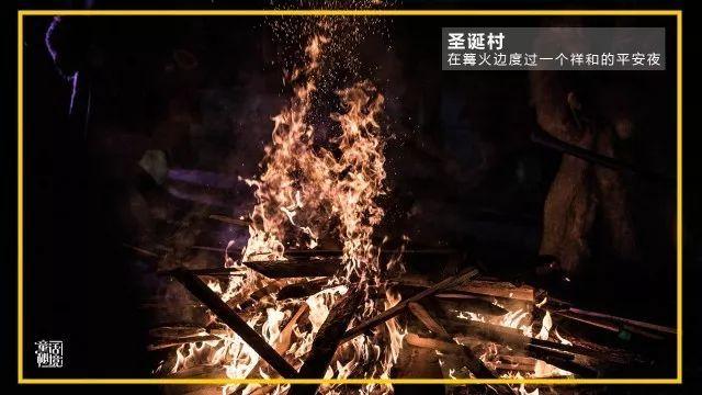 吃金币的猫