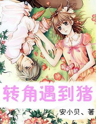 买多功能料理锅还是电火锅好？哪个更实用？